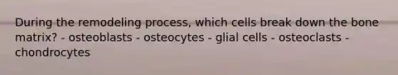 During the remodeling process, which cells break down the bone matrix? - osteoblasts - osteocytes - glial cells - osteoclasts - ​chondrocytes