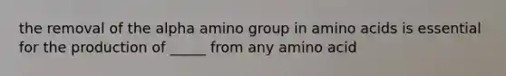 the removal of the alpha amino group in amino acids is essential for the production of _____ from any amino acid