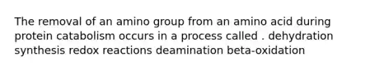 The removal of an amino group from an amino acid during protein catabolism occurs in a process called . dehydration synthesis redox reactions deamination beta-oxidation