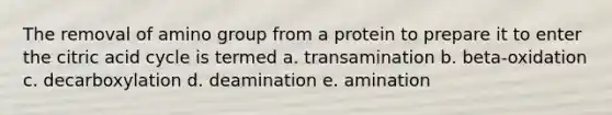 The removal of amino group from a protein to prepare it to enter the citric acid cycle is termed a. transamination b. beta-oxidation c. decarboxylation d. deamination e. amination