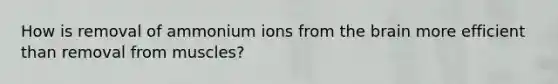 How is removal of ammonium ions from <a href='https://www.questionai.com/knowledge/kLMtJeqKp6-the-brain' class='anchor-knowledge'>the brain</a> more efficient than removal from muscles?