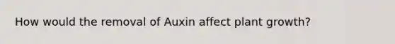 How would the removal of Auxin affect plant growth?