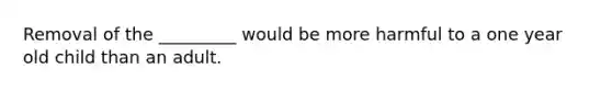 Removal of the _________ would be more harmful to a one year old child than an adult.