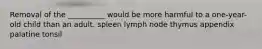 Removal of the __________ would be more harmful to a one-year-old child than an adult. spleen lymph node thymus appendix palatine tonsil