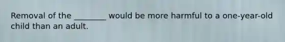 Removal of the ________ would be more harmful to a one-year-old child than an adult.