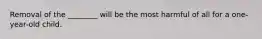 Removal of the ________ will be the most harmful of all for a one-year-old child.