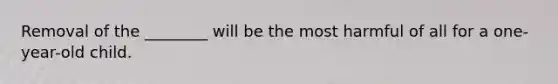 Removal of the ________ will be the most harmful of all for a one-year-old child.