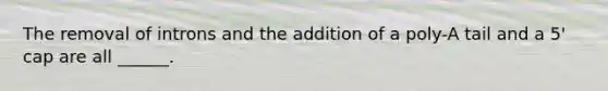 The removal of introns and the addition of a poly-A tail and a 5' cap are all ______.