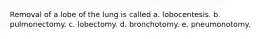 Removal of a lobe of the lung is called a. lobocentesis. b. pulmonectomy. c. lobectomy. d. bronchotomy. e. pneumonotomy.