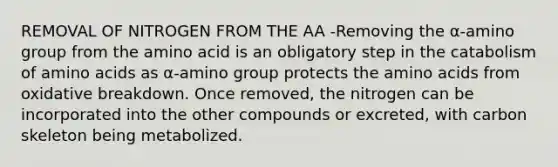 REMOVAL OF NITROGEN FROM THE AA -Removing the α-amino group from the amino acid is an obligatory step in the catabolism of amino acids as α-amino group protects the amino acids from oxidative breakdown. Once removed, the nitrogen can be incorporated into the other compounds or excreted, with carbon skeleton being metabolized.