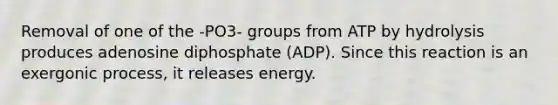 Removal of one of the -PO3- groups from ATP by hydrolysis produces adenosine diphosphate (ADP). Since this reaction is an exergonic process, it releases energy.