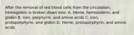 After the removal of red blood cells from the circulation, hemoglobin is broken down into: A. Heme, hemosiderin, and globin B. Iron, porphyrin, and amino acids C. Iron, protoporphyrin, and globin D. Heme, protoporphyrin, and amino acids