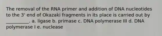 The removal of the RNA primer and addition of DNA nucleotides to the 3' end of Okazaki fragments in its place is carried out by __________. a. ligase b. primase c. DNA polymerase III d. DNA polymerase I e. nuclease