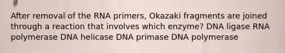 After removal of the RNA primers, Okazaki fragments are joined through a reaction that involves which enzyme? DNA ligase RNA polymerase DNA helicase DNA primase DNA polymerase