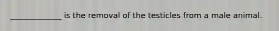 _____________ is the removal of the testicles from a male animal.