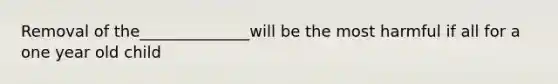 Removal of the______________will be the most harmful if all for a one year old child