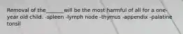 Removal of the_______will be the most harmful of all for a one-year old child. -spleen -lymph node -thymus -appendix -palatine tonsil