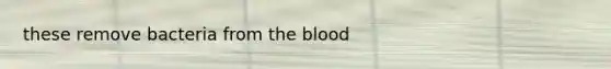 these remove bacteria from <a href='https://www.questionai.com/knowledge/k7oXMfj7lk-the-blood' class='anchor-knowledge'>the blood</a>