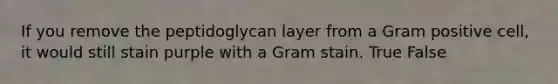 If you remove the peptidoglycan layer from a Gram positive cell, it would still stain purple with a Gram stain. True False