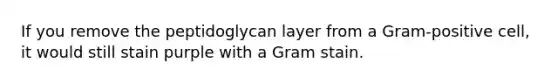 If you remove the peptidoglycan layer from a Gram-positive cell, it would still stain purple with a Gram stain.