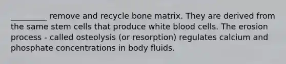 _________ remove and recycle bone matrix. They are derived from the same stem cells that produce white blood cells. The erosion process - called osteolysis (or resorption) regulates calcium and phosphate concentrations in body fluids.