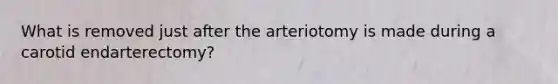 What is removed just after the arteriotomy is made during a carotid endarterectomy?