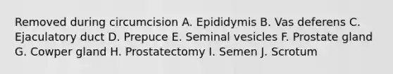 Removed during circumcision A. Epididymis B. Vas deferens C. Ejaculatory duct D. Prepuce E. Seminal vesicles F. Prostate gland G. Cowper gland H. Prostatectomy I. Semen J. Scrotum