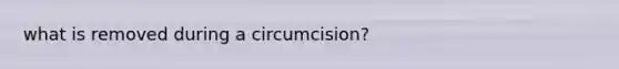 what is removed during a circumcision?