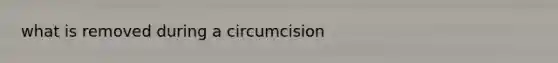 what is removed during a circumcision