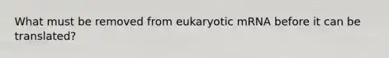 What must be removed from eukaryotic mRNA before it can be translated?