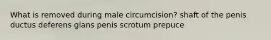 What is removed during male circumcision? shaft of the penis ductus deferens glans penis scrotum prepuce