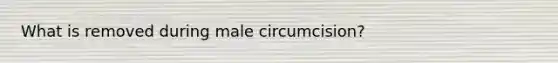 What is removed during male circumcision?