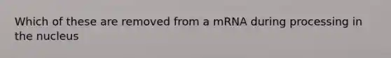 Which of these are removed from a mRNA during processing in the nucleus