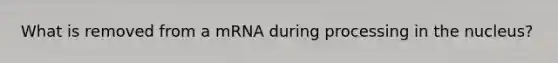 What is removed from a mRNA during processing in the nucleus?