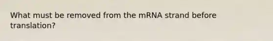 What must be removed from the mRNA strand before translation?