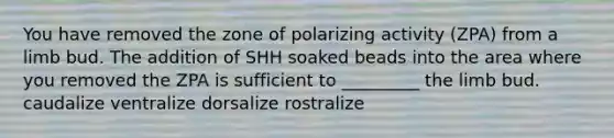 You have removed the zone of polarizing activity (ZPA) from a limb bud. The addition of SHH soaked beads into the area where you removed the ZPA is sufficient to _________ the limb bud. caudalize ventralize dorsalize rostralize