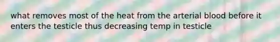 what removes most of the heat from the arterial blood before it enters the testicle thus decreasing temp in testicle