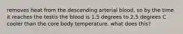 removes heat from the descending arterial blood, so by the time it reaches the testis the blood is 1.5 degrees to 2.5 degrees C cooler than the core body temperature. what does this?