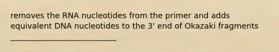 removes the RNA nucleotides from the primer and adds equivalent DNA nucleotides to the 3' end of Okazaki fragments ___________________________