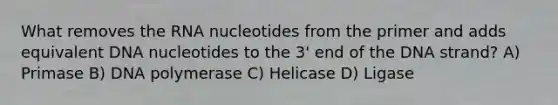 What removes the RNA nucleotides from the primer and adds equivalent DNA nucleotides to the 3' end of the DNA strand? A) Primase B) DNA polymerase C) Helicase D) Ligase