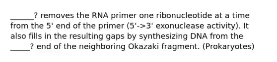 ______? removes the RNA primer one ribonucleotide at a time from the 5' end of the primer (5'->3' exonuclease activity). It also fills in the resulting gaps by synthesizing DNA from the _____? end of the neighboring Okazaki fragment. (Prokaryotes)