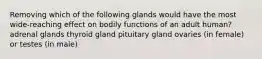 Removing which of the following glands would have the most wide-reaching effect on bodily functions of an adult human? adrenal glands thyroid gland pituitary gland ovaries (in female) or testes (in male)