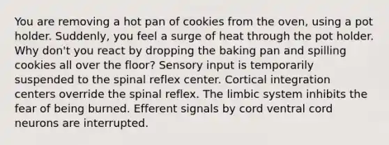 You are removing a hot pan of cookies from the oven, using a pot holder. Suddenly, you feel a surge of heat through the pot holder. Why don't you react by dropping the baking pan and spilling cookies all over the floor? Sensory input is temporarily suspended to the spinal reflex center. Cortical integration centers override the spinal reflex. The limbic system inhibits the fear of being burned. Efferent signals by cord ventral cord neurons are interrupted.