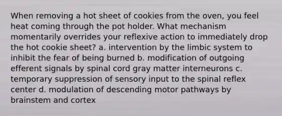 When removing a hot sheet of cookies from the oven, you feel heat coming through the pot holder. What mechanism momentarily overrides your reflexive action to immediately drop the hot cookie sheet? a. intervention by the limbic system to inhibit the fear of being burned b. modification of outgoing efferent signals by spinal cord gray matter interneurons c. temporary suppression of sensory input to the spinal reflex center d. modulation of descending motor pathways by brainstem and cortex