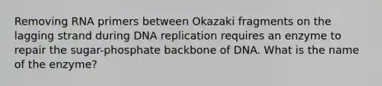 Removing RNA primers between Okazaki fragments on the lagging strand during DNA replication requires an enzyme to repair the sugar-phosphate backbone of DNA. What is the name of the enzyme?