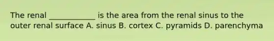 The renal ____________ is the area from the renal sinus to the outer renal surface A. sinus B. cortex C. pyramids D. parenchyma