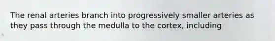 The renal arteries branch into progressively smaller arteries as they pass through the medulla to the cortex, including