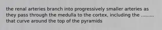 the renal arteries branch into progressively smaller arteries as they pass through the medulla to the cortex, including the ......... that curve around the top of the pyramids