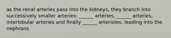 as the renal arteries pass into the kidneys, they branch into successively smaller arteries: ______ arteries, ______ arteries, interlobular arteries and finally ______ arterioles, leading into the nephrons