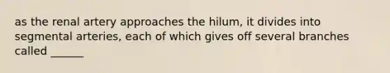 as the renal artery approaches the hilum, it divides into segmental arteries, each of which gives off several branches called ______